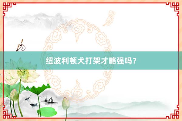 纽波利顿犬打架才略强吗？